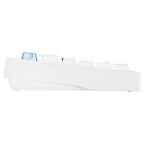 Fantech MAXFIT8 Wireless Mechanical Keyboard (White) (White Switch)
