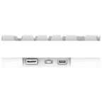 Fantech MAXFIT8 Wireless Mechanical Keyboard (White) (White Switch)