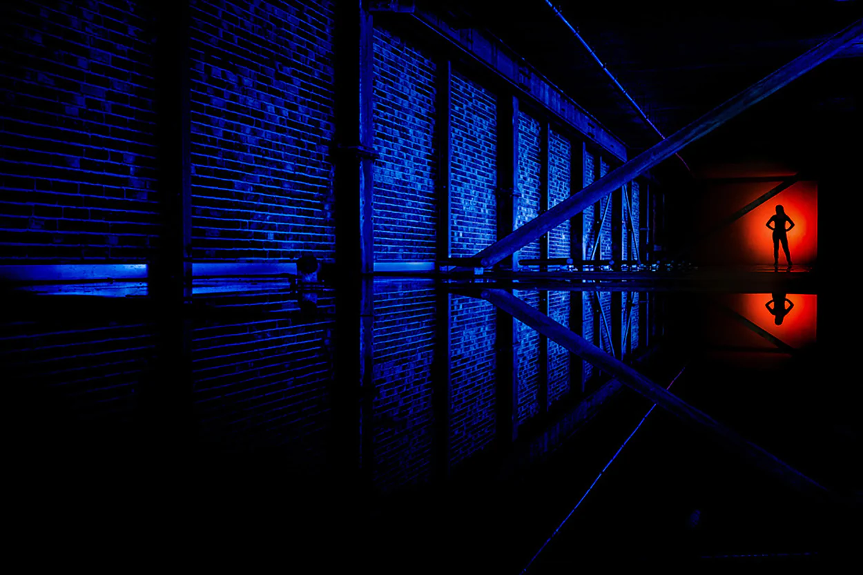 MagMod Pro Artistic Gels