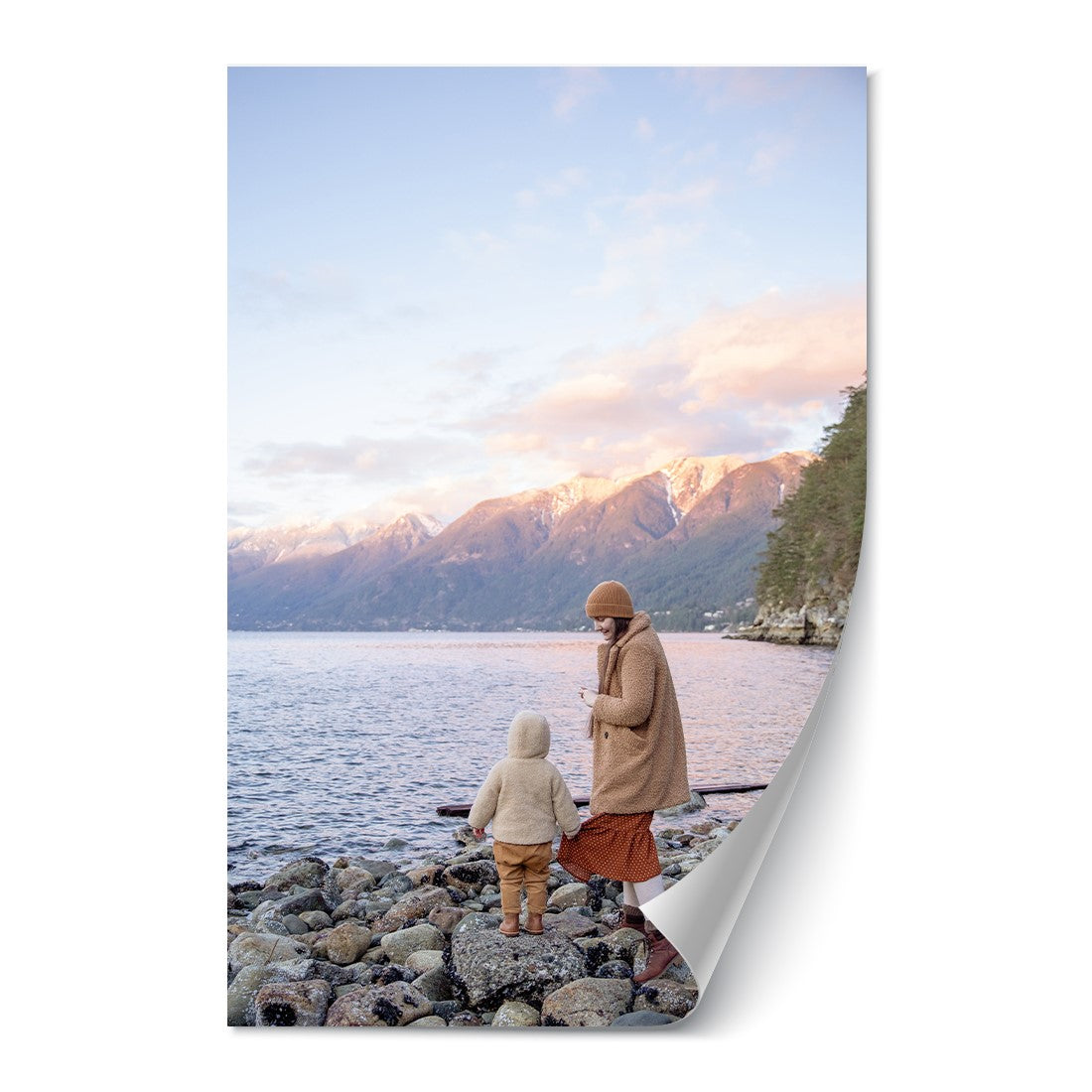 20x30" Poster Print