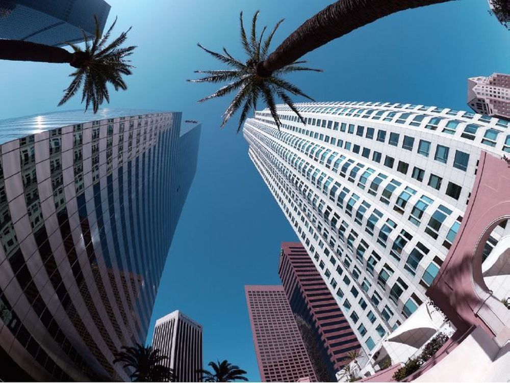 Panasonic 8mm Fisheye Lens