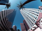 Panasonic 8mm Fisheye Lens