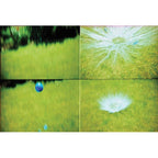 Lomography Actionsampler Transparent