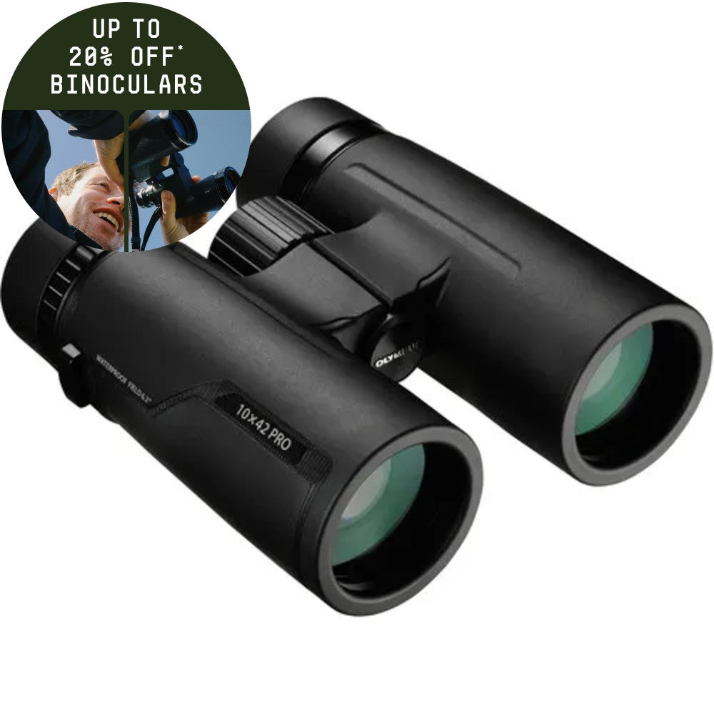 Olympus 10x42 PRO Black Binoculars