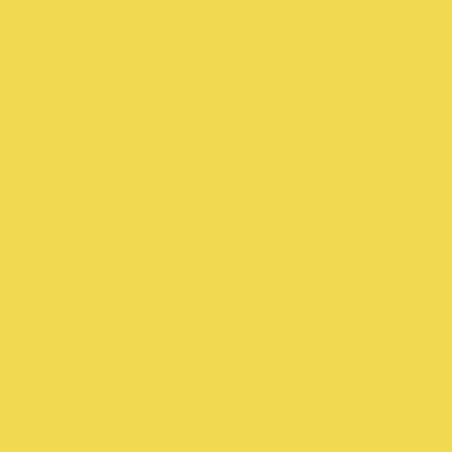Superior Aspen Background Paper - 1.35m x 11m (Core)