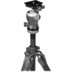Gitzo GK2542-82QD Mountaineer Series 2 Carbon Fiber Tripod with Center Ball Head
