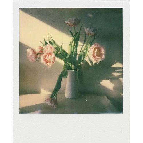 Polaroid Originals Colour Film for I type cameras (No batteries) - Suits i-1 and One Step 2 Cameras - x 40 pack