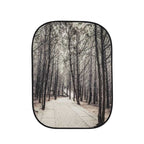 Lastolite Collapsible Background 1.5 x 2.1m - Stone Steps / Winter Trees