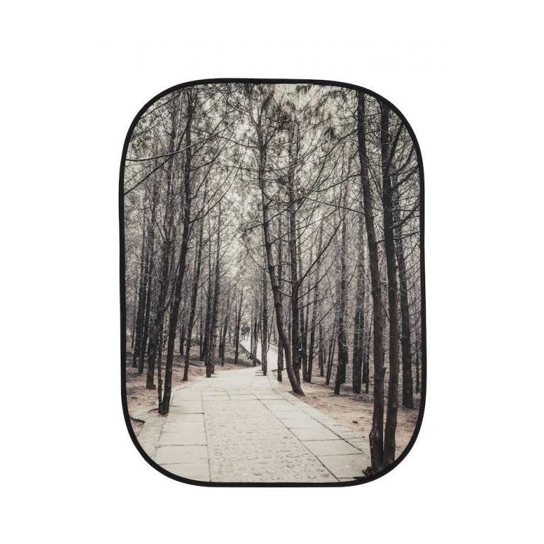 Lastolite Collapsible Background 1.5 x 2.1m - Stone Steps / Winter Trees
