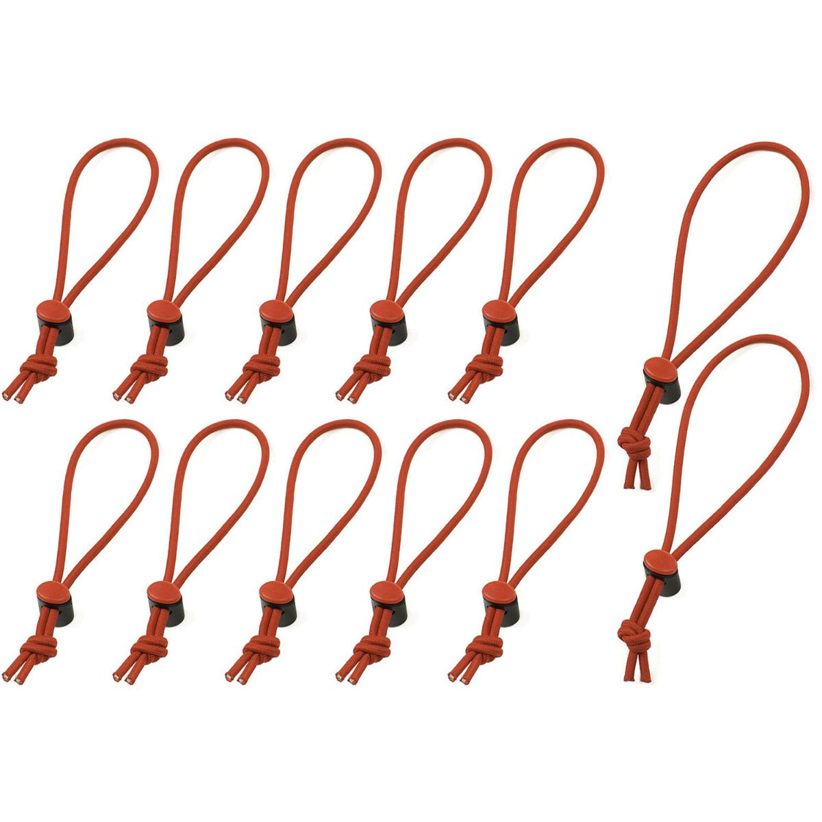 thinkTANK - Red Whips 12pk