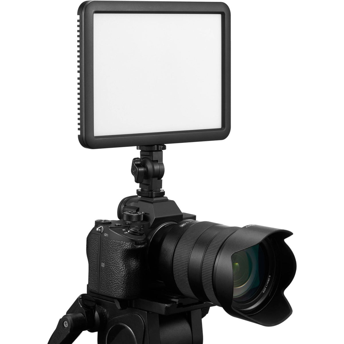 Godox LDP18D 18W Daylight LED Light Inc Coldshoe