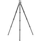 Benro Tortoise 24C Columnless Carbon Fiber Two Series Tripod with GX30 Ball Head