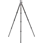 Open Box Benro Tortoise 24C Columnless Carbon Fiber Two Series Tripod GX30 Ball Head