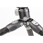 Benro Tortoise 24C Columnless Carbon Fiber Two Series Tripod with GX30 Ball Head