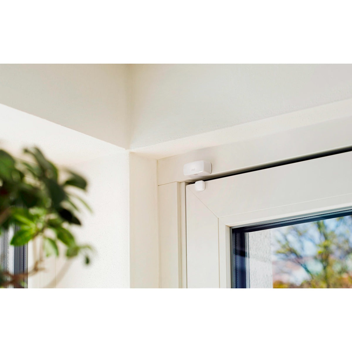 Eve Door and Window Sensor