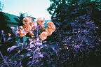 Lomography Single Use Camera Lomochrome Purple