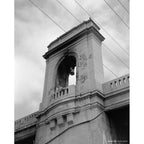 Cinestill BwXX Double-X  Black and White Film (120 Roll Film) 