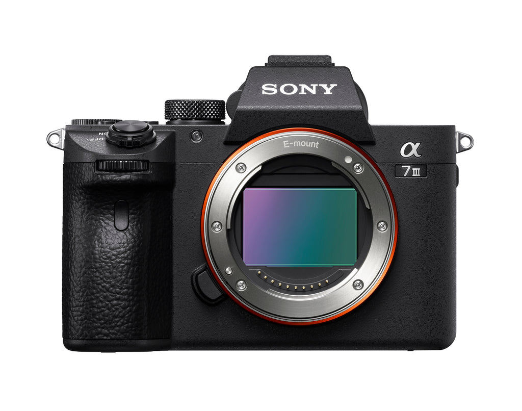 Sony Alpha a7 III Mirrorless Digital Camera (Body Only)