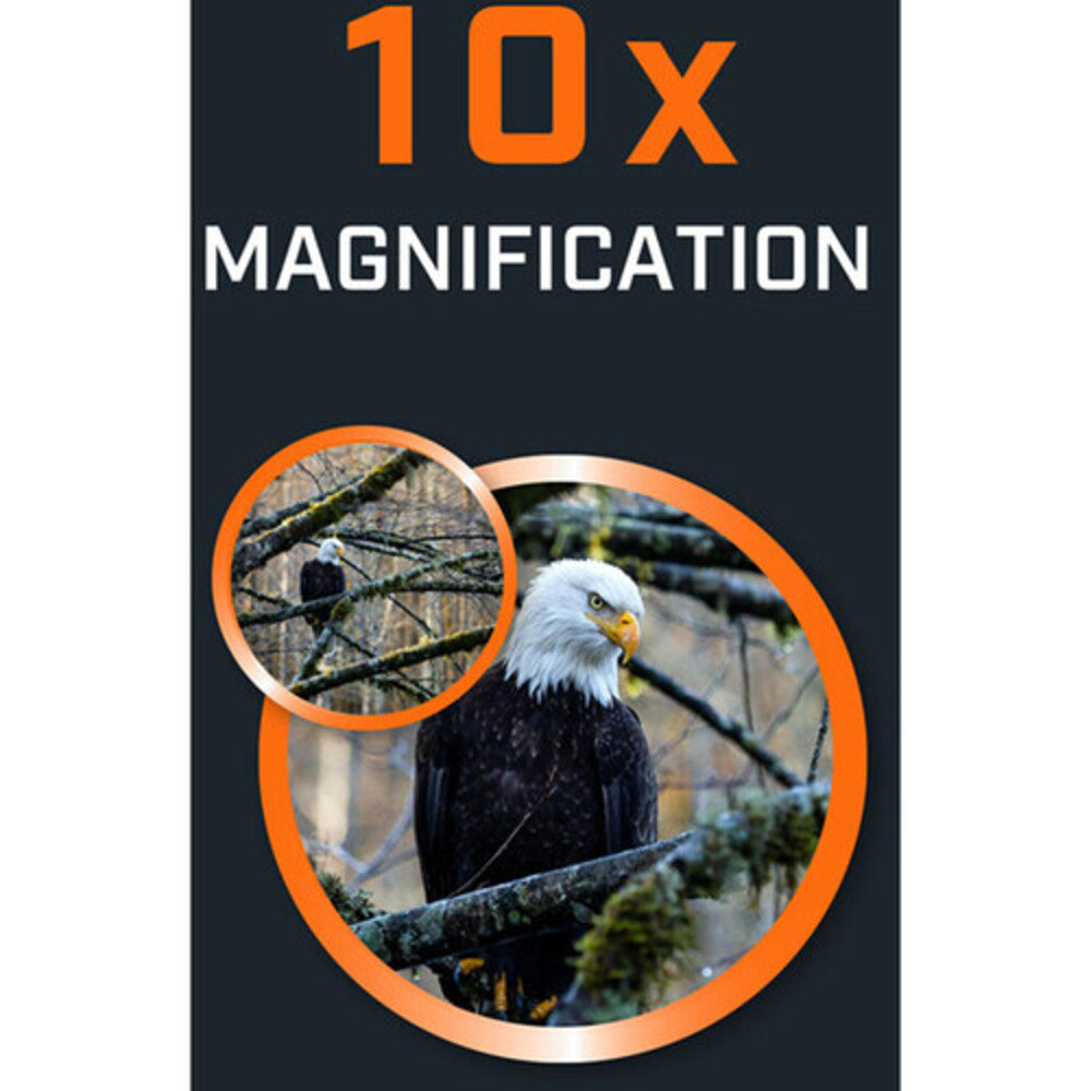 Bushnell 10x25 H2O Binocular  