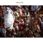 Hasselblad 62mm ND8 Filter