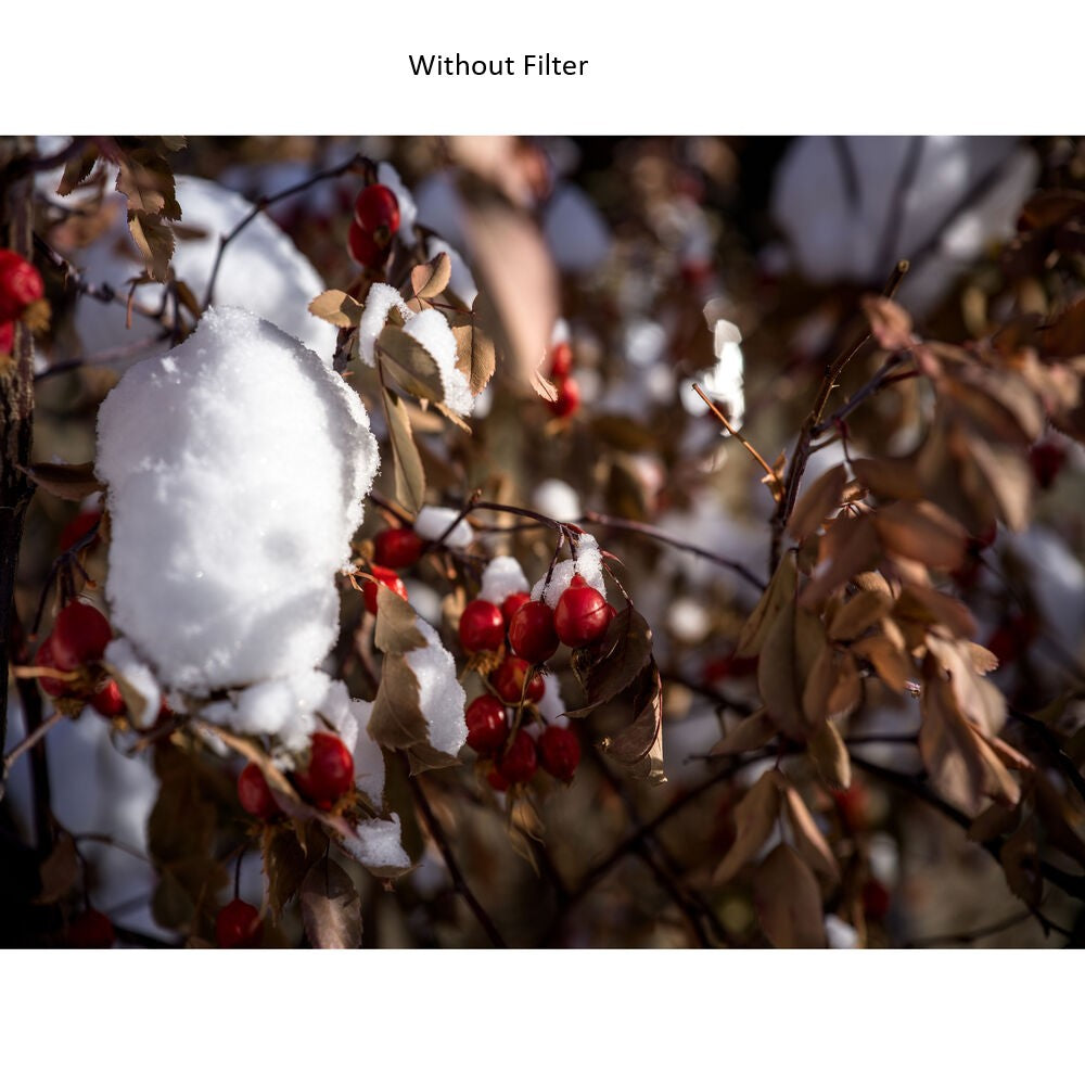 Hasselblad 62mm ND8 Filter