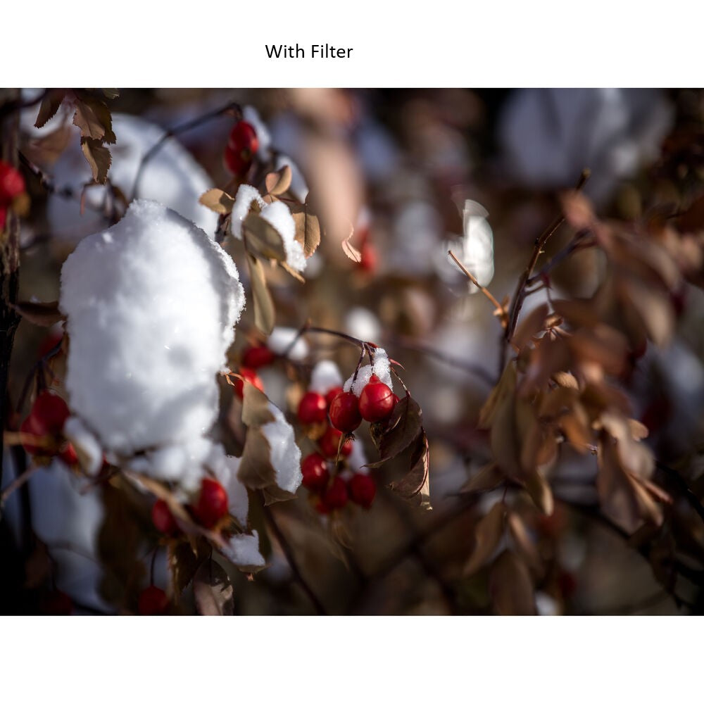 Hasselblad 62mm ND8 Filter