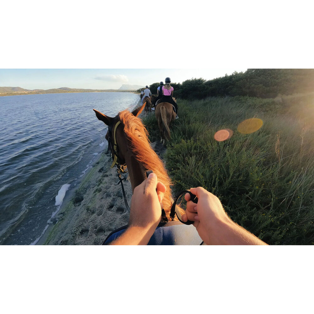 GoPro Head Strap 2.0  