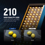 NEEWER BH20B LED Light Kit