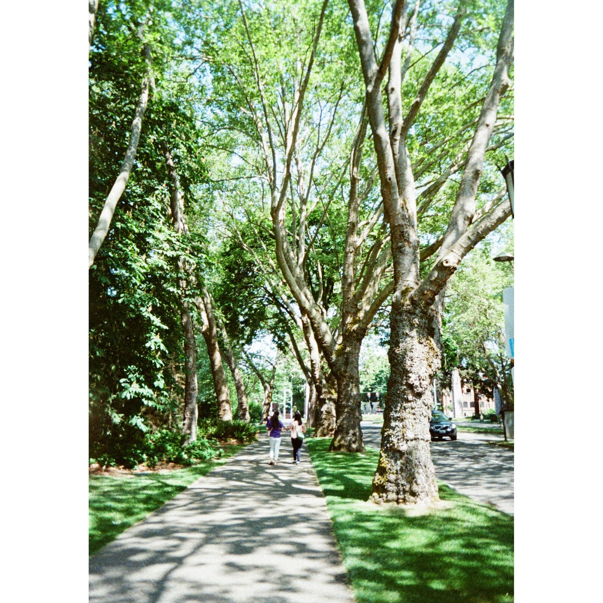 Kodak Ektar H35N Half Frame Camera - Glazed Orange