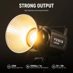 NEEWER FS150B Bi-Color LED Video Light 