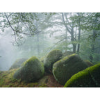 Hasselblad XCD 20-35mm f/4.5