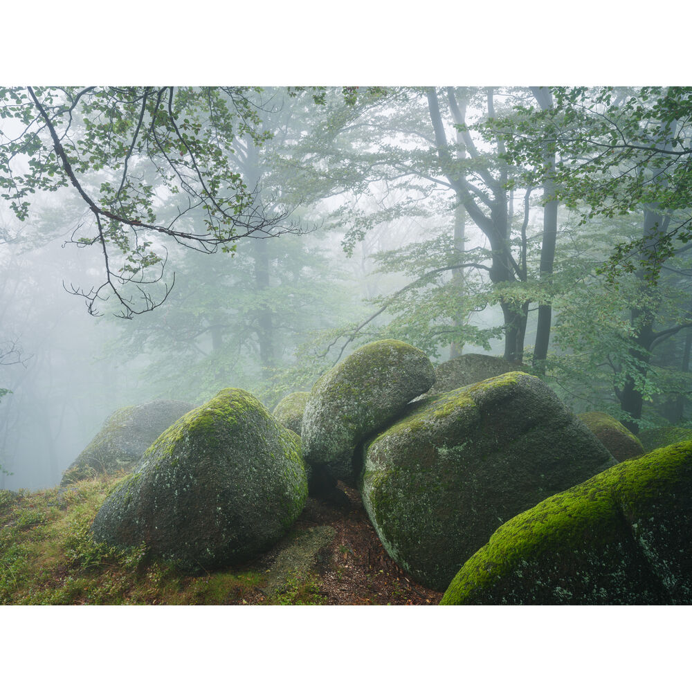Hasselblad XCD 20-35mm f/4.5