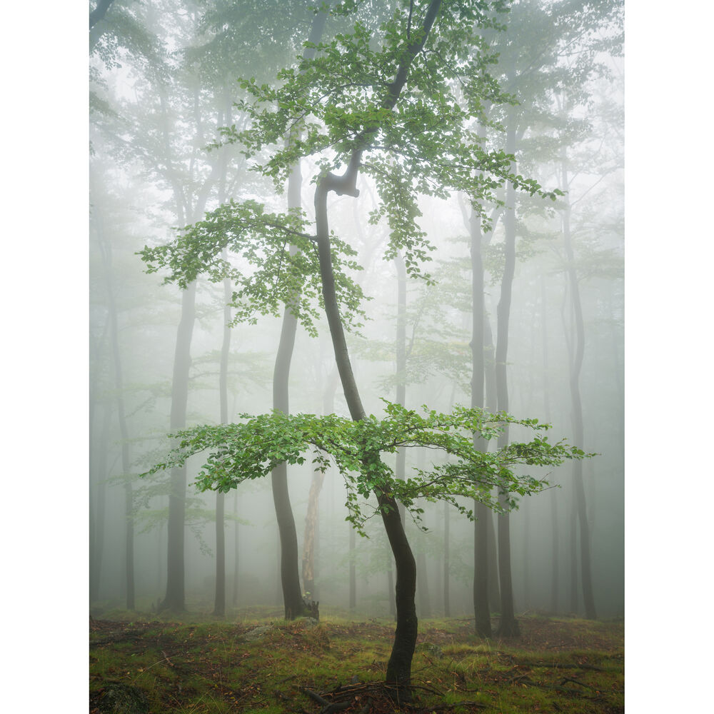 Hasselblad XCD 20-35mm f/4.5