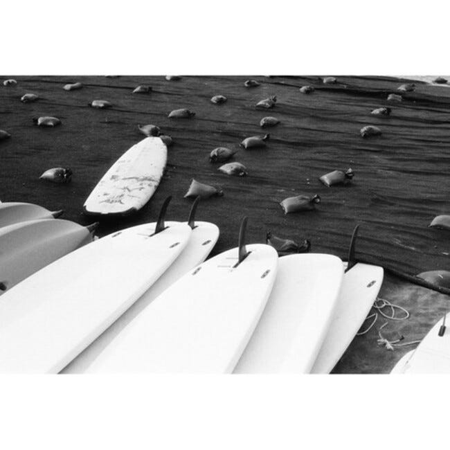 Lomography 35mm B&W - MonoChrome Duet