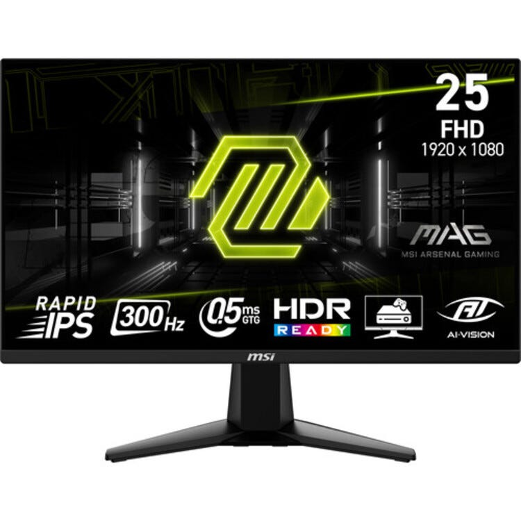 MSI MAG 255XF 24.5" FHD 300Hz 0.5ms IPS Gaming Monitor