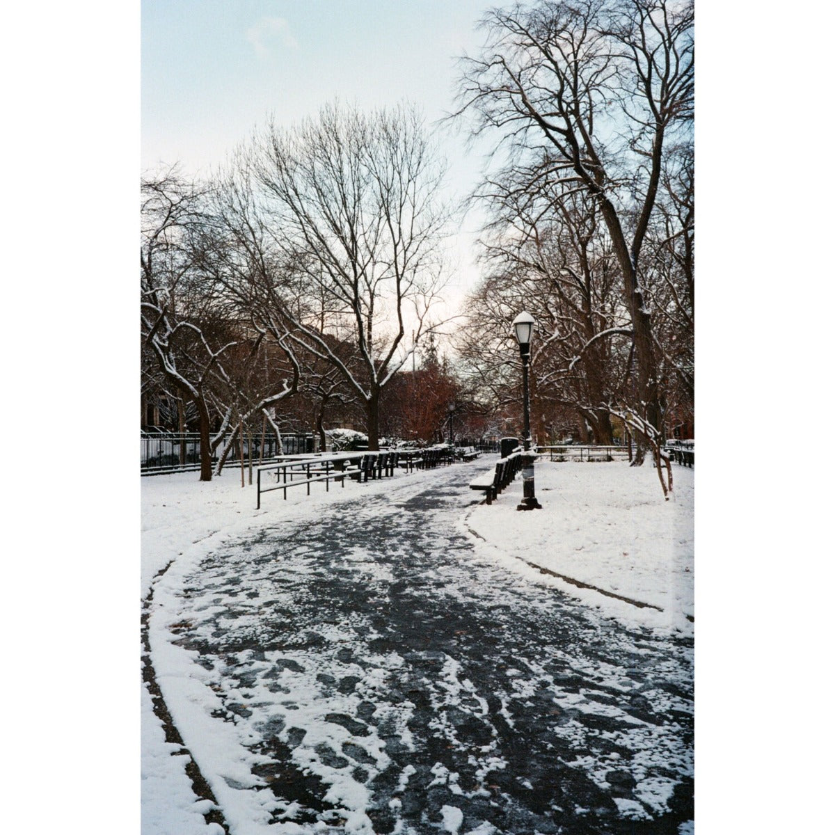 Flic Film Aurora 400 Colour Negative Film (35mm Roll Film