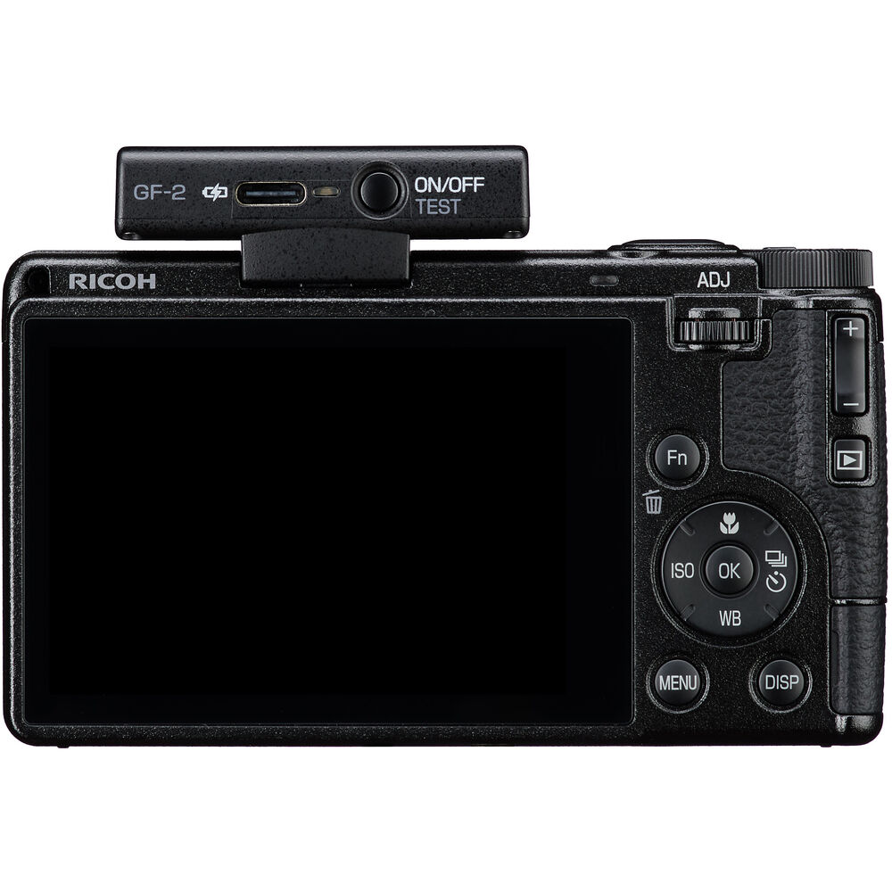 Ricoh GF-2 Flash