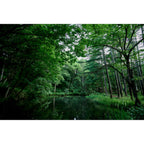 Sigma 20-200mm f/3.5-5.6 DG Contemporary Lens - Sony E-Mount