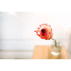 Sigma 35mm f/1.2 DG II Art Lens - Sony-E Mount
