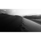 Canon EOS R8 II Mirrorless Camera