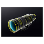 Nikon NIKKOR Z 120-300mm f/2.8 TC VR S