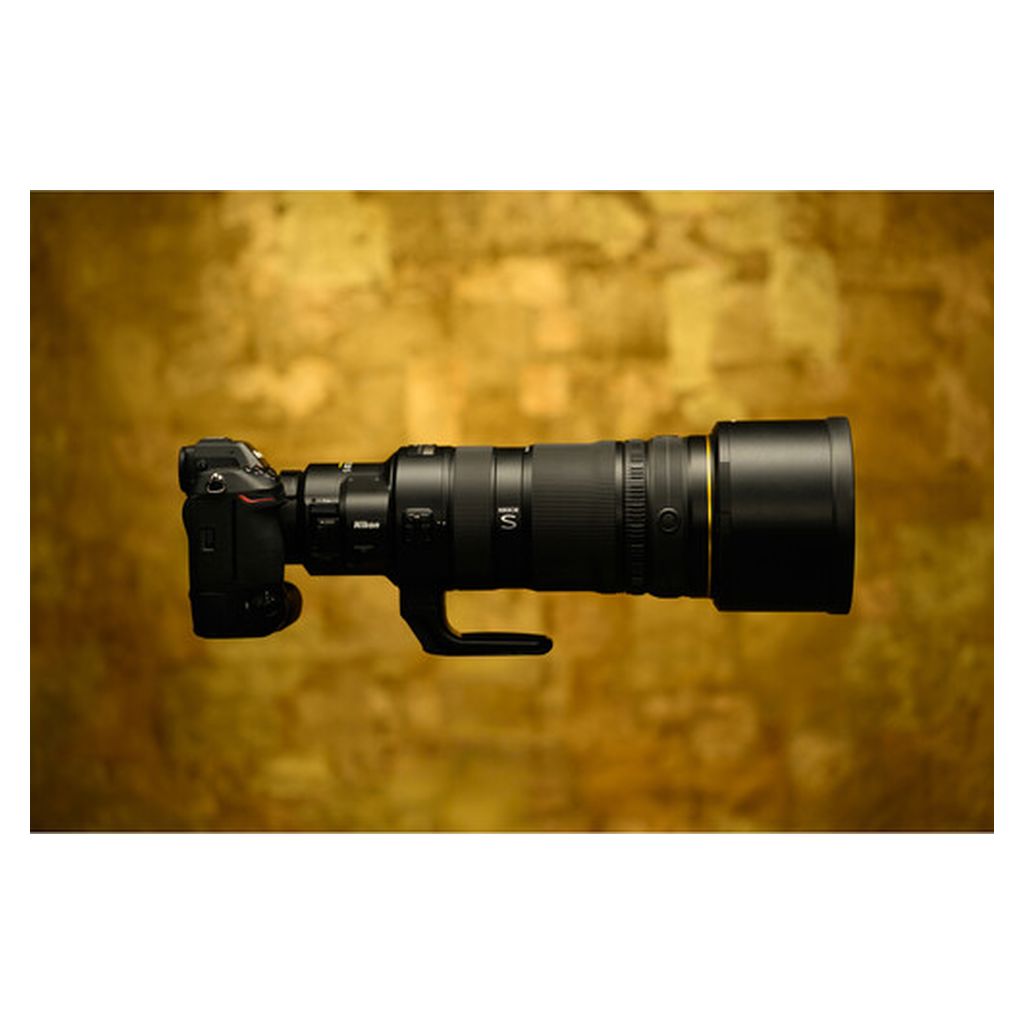Nikon NIKKOR Z 120-300mm f/2.8 TC VR S