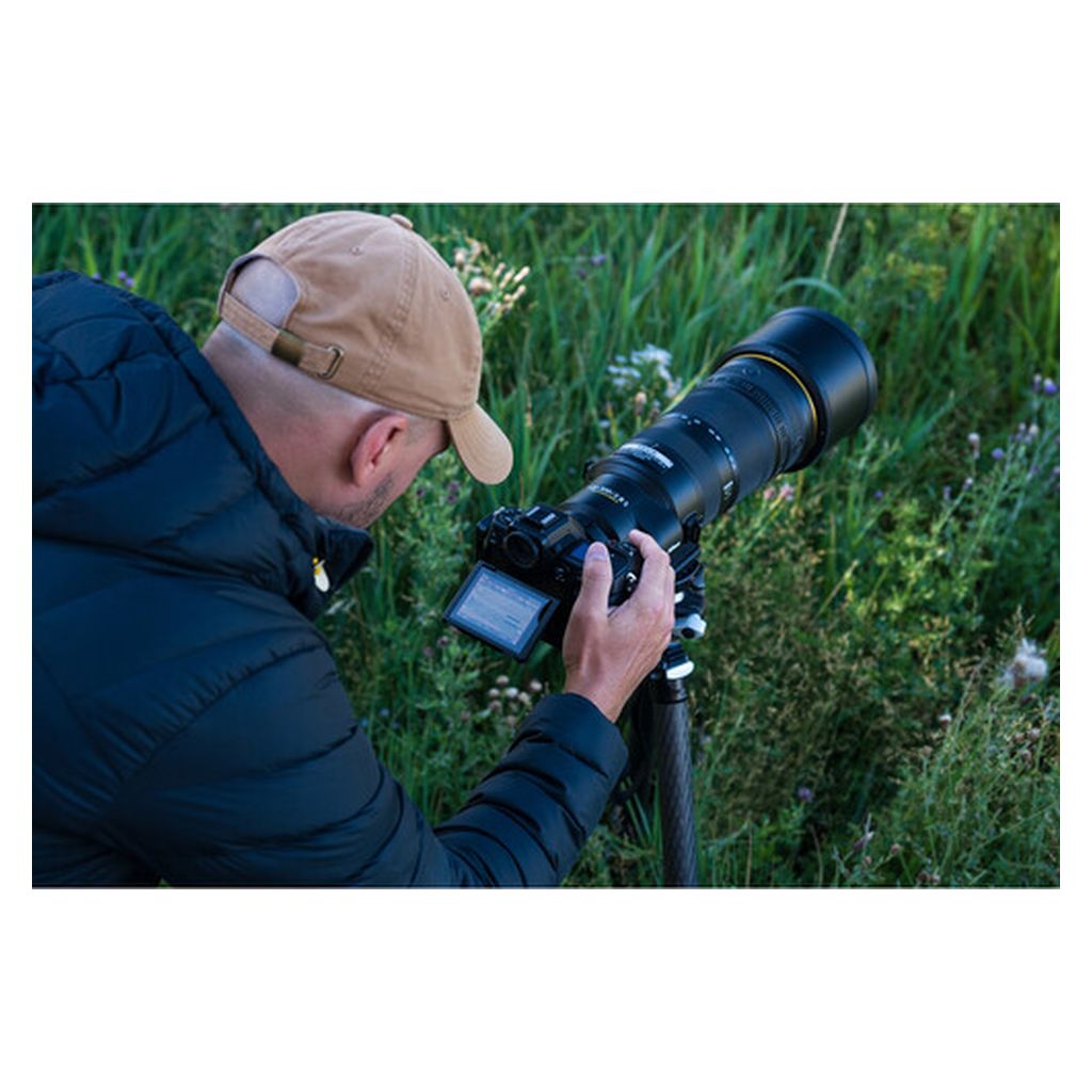 Nikon NIKKOR Z 120-300mm f/2.8 TC VR S