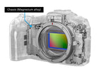 Canon EOS RP Body