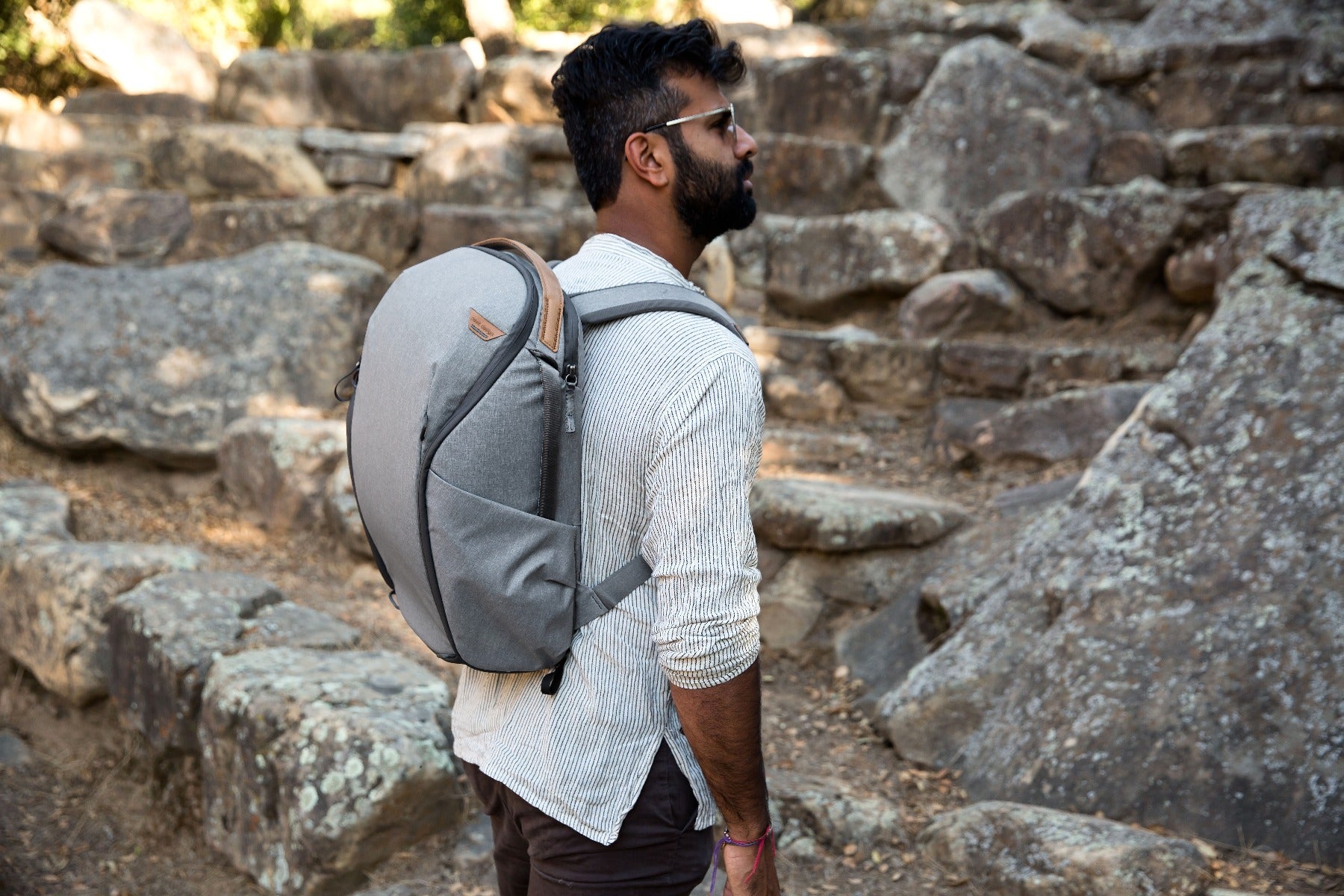 Peak Design Everyday Backpack Zip 20L (v2) - Ash