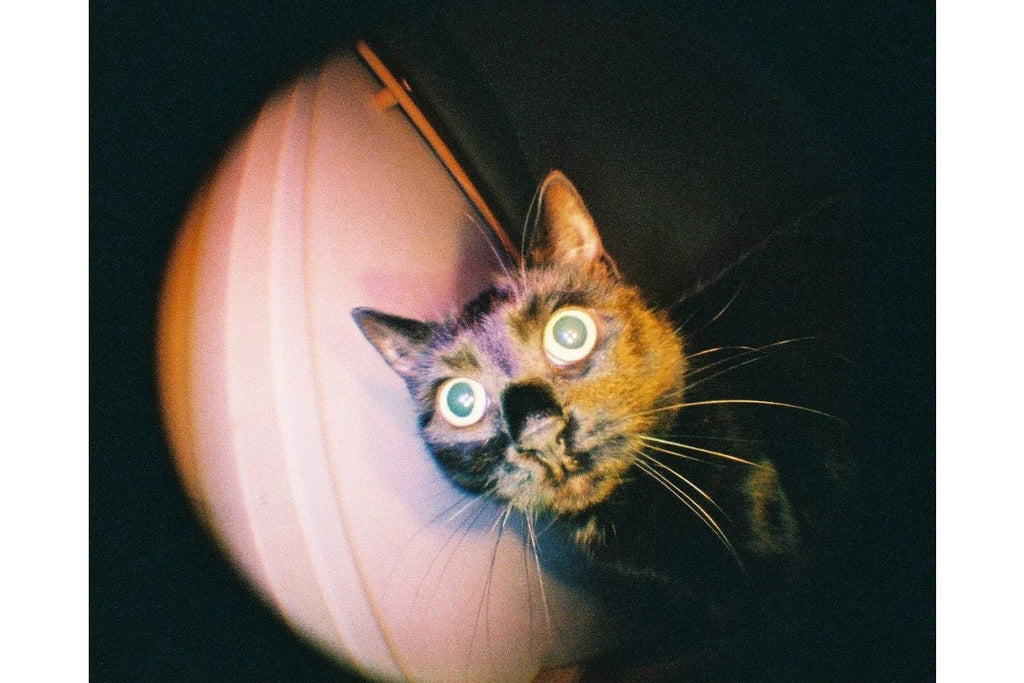 Lomography Fisheye Baby 110 - Metal Black