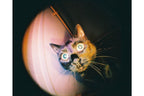 Lomography Fisheye Baby 110 - Metal Black