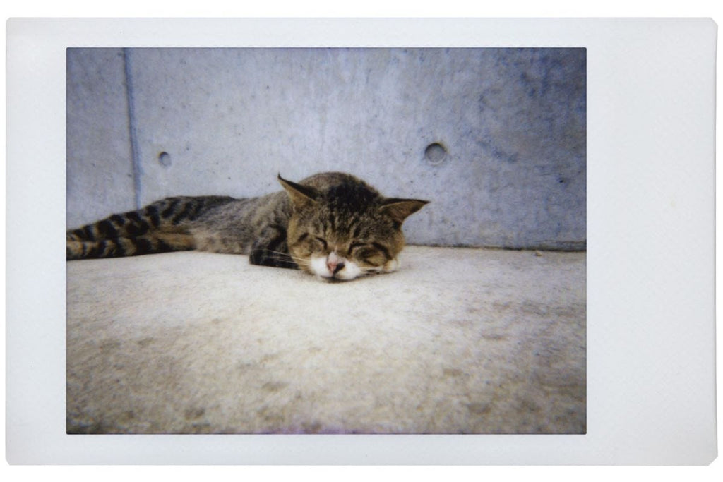 Lomography Lomo Instant Automat & Lenses - Vivian Ho