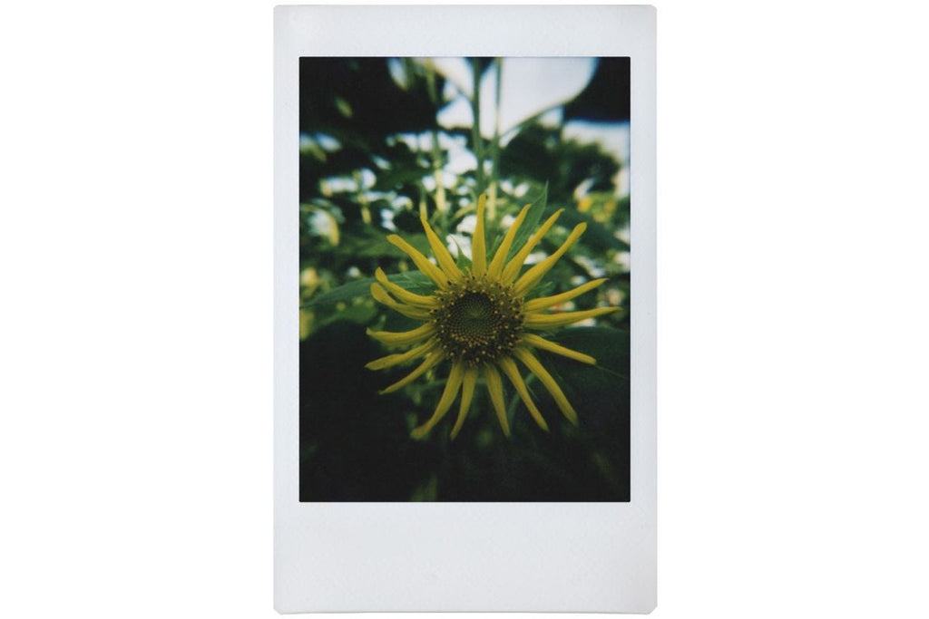 Lomography Lomo Instant Automat & Lenses - Vivian Ho