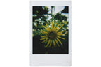 Lomography Lomo Instant Automat & Lenses - Vivian Ho